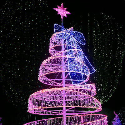 twin cities christmas light tours