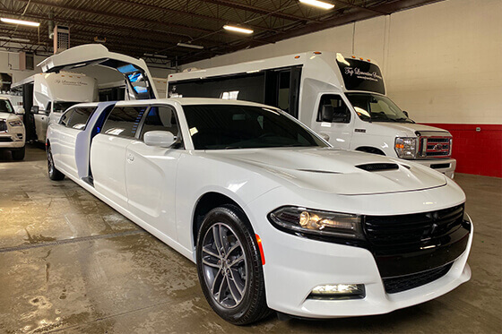 10-passenger dodge limo interior