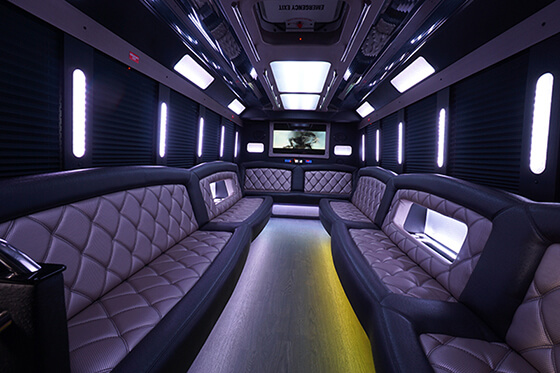 20-passenger bus interior 1 two-tone leather seats