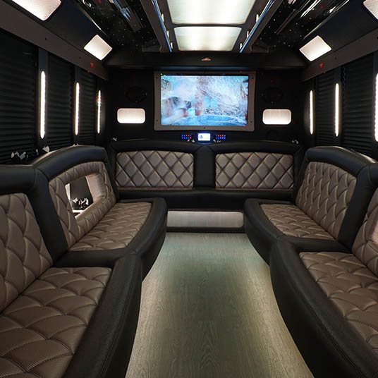 28-passenger limousine bus