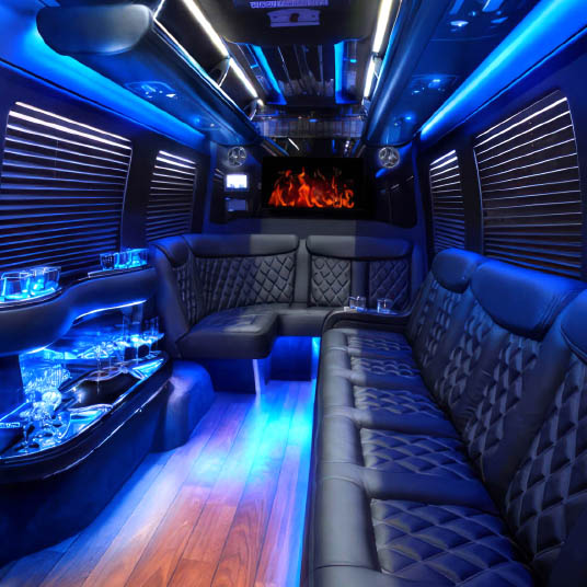 mercedes limo van