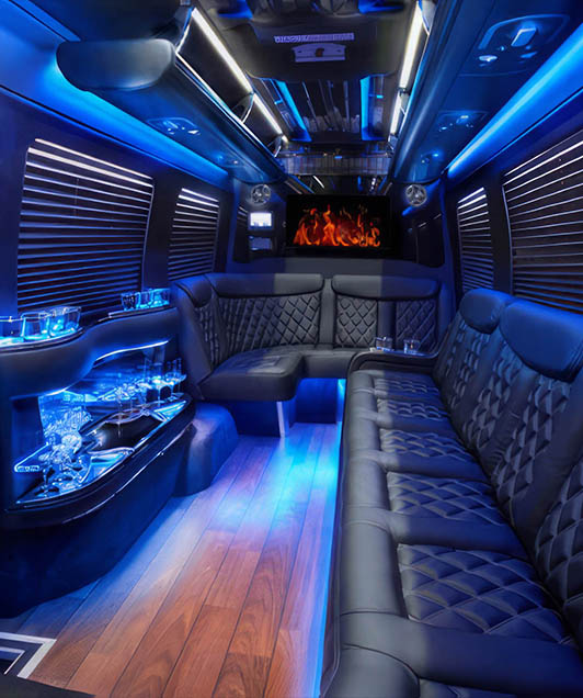 14 passenger sprinter van rental