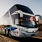 minneapolis charter bus