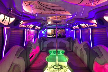 minneapolis party bus rental company