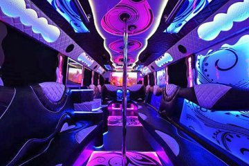 minneapolis party bus services